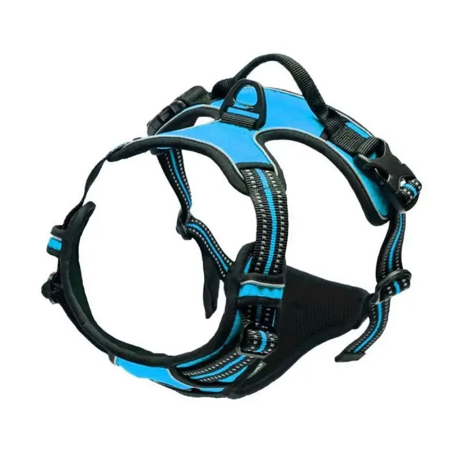 Premium Adjustable Comfort Harness & Leash Set for Dogs