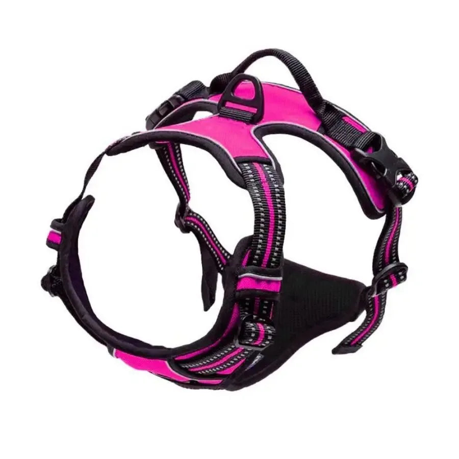 Premium Adjustable Comfort Harness & Leash Set for Dogs