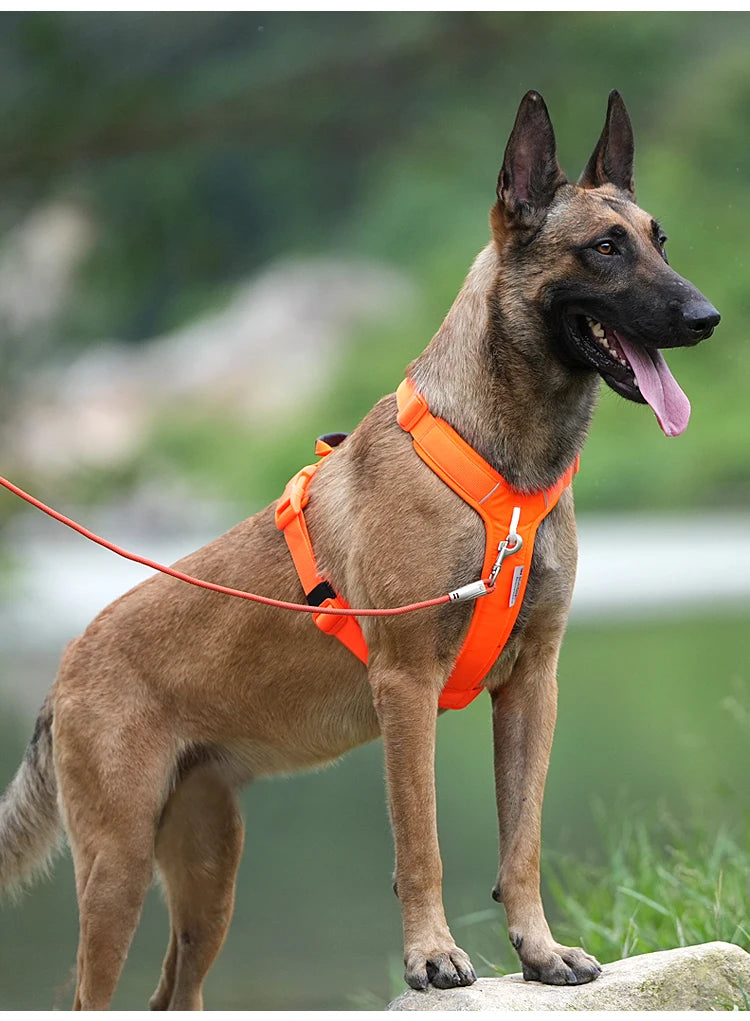 Premium Reflective No-Pull Vest Harness for Dogs
