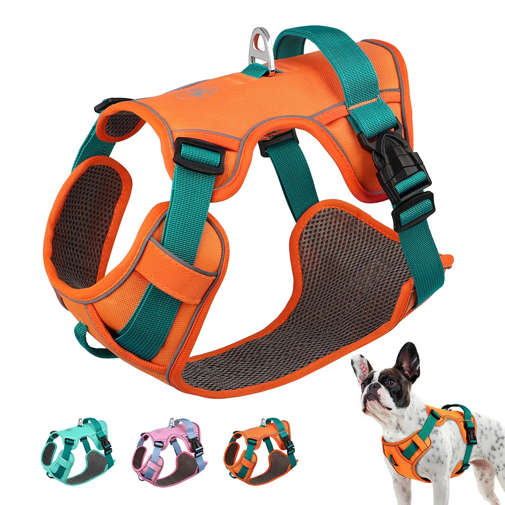 Silent Electric Pet Nail Grinder & Smoother