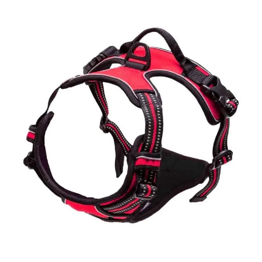 Premium Adjustable Comfort Harness & Leash Set for Dogs