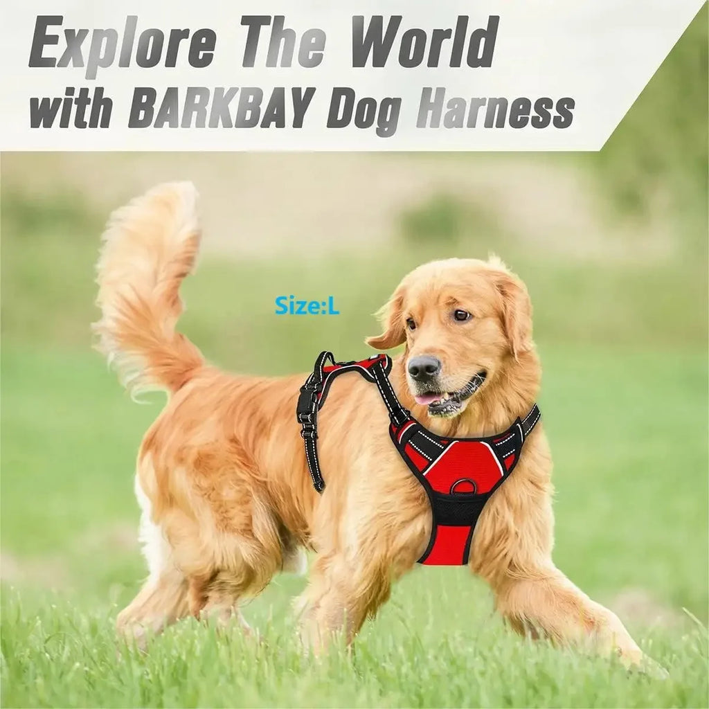 Premium Adjustable Comfort Harness & Leash Set for Dogs