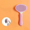 2-in-1 Automatic Water & Food Dispenser Pet Bowl