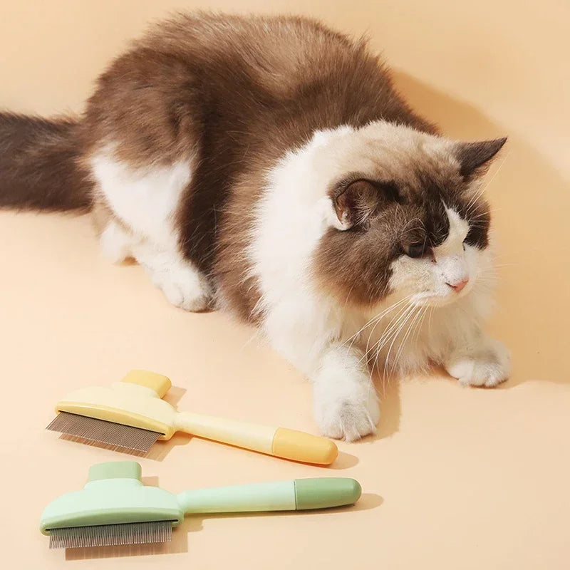 Interactive Cat Track Ball Toy with Spinning Feather