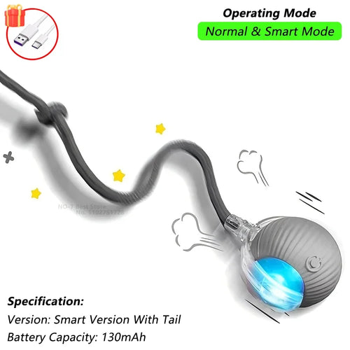 Dog Cat Interactive Ball Toy Automatic Rolling Ball Faux Tail