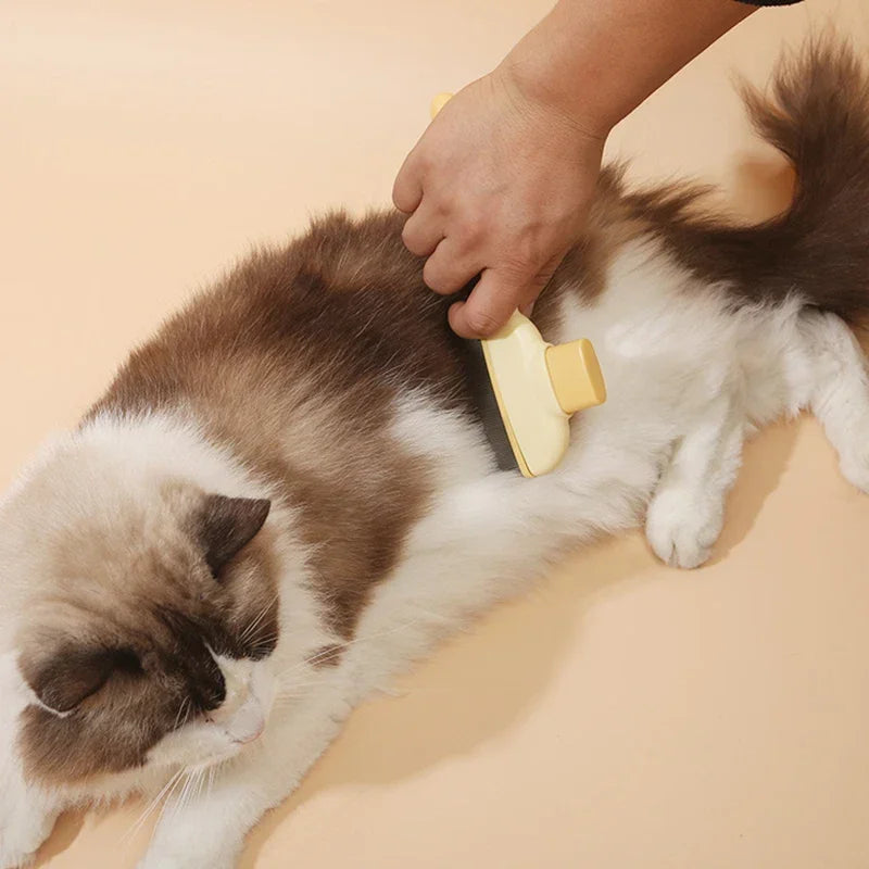 Interactive Cat Track Ball Toy with Spinning Feather