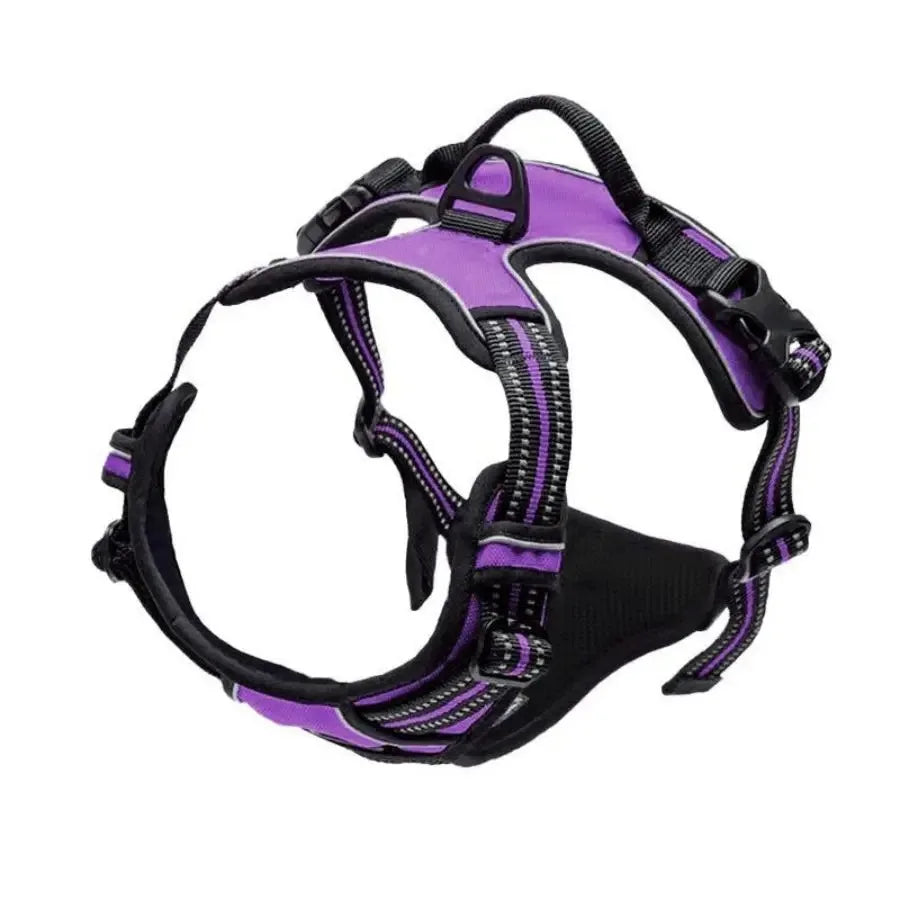 Premium Adjustable Comfort Harness & Leash Set for Dogs
