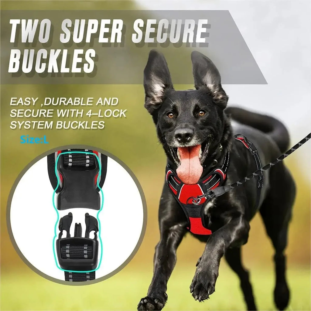 Premium Adjustable Comfort Harness & Leash Set for Dogs