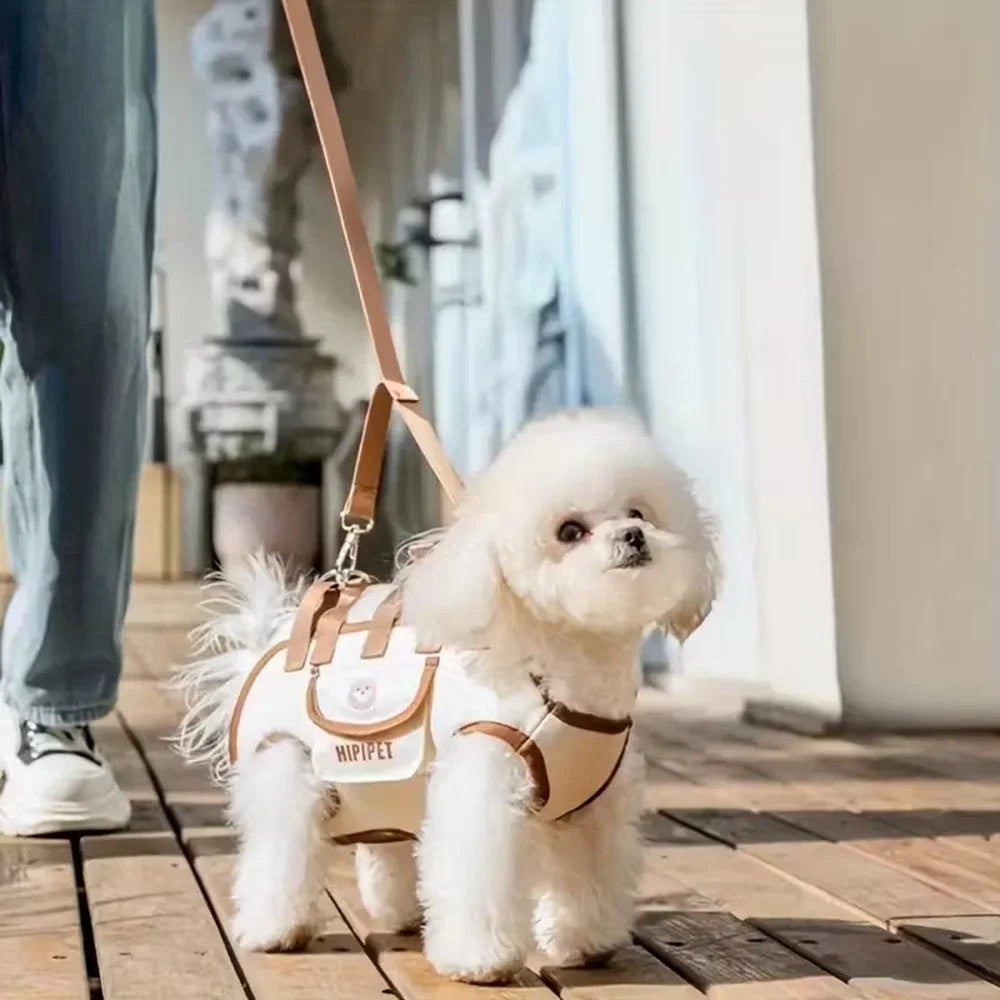 Breathable & Portable Pet Travel Carrier Bag