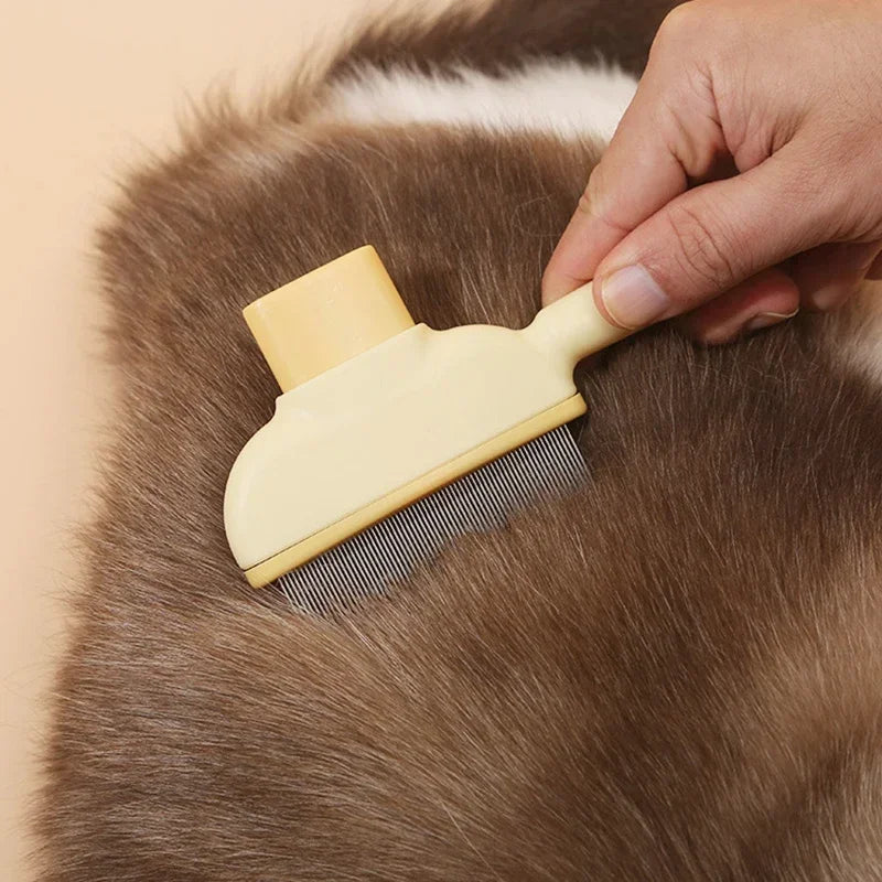 Interactive Cat Track Ball Toy with Spinning Feather
