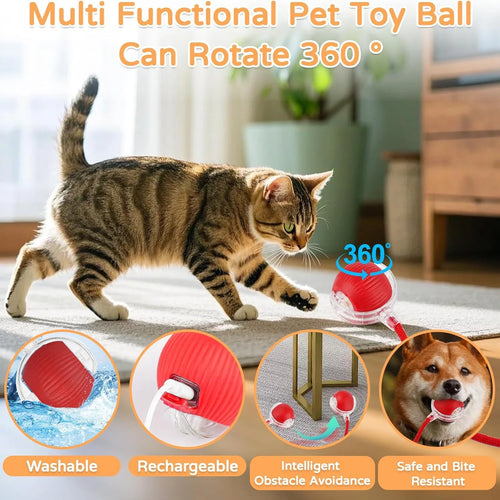 Dog Cat Interactive Ball Toy Automatic Rolling Ball Faux Tail