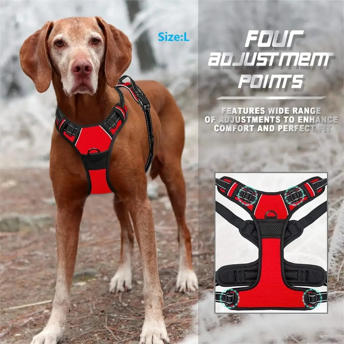 Premium Adjustable Comfort Harness & Leash Set for Dogs
