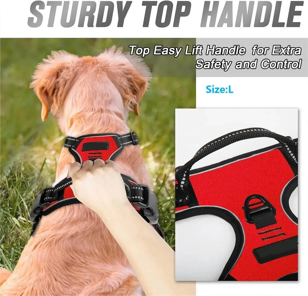 Premium Adjustable Comfort Harness & Leash Set for Dogs